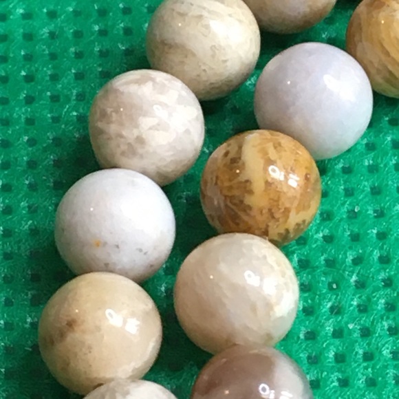 Fossil Jasper 6mm - Picture 6 of 7